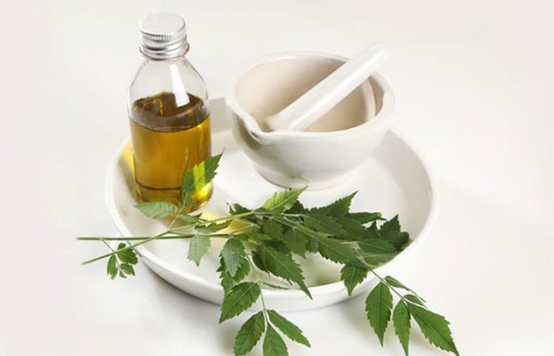 Lợi ích từ dầu neem (Dầu Oil)